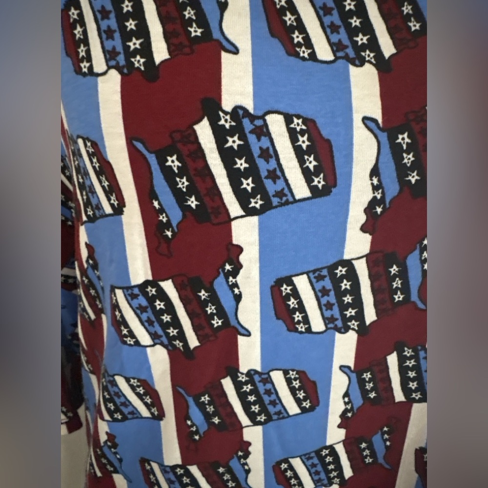 LuLaRoe Irma US Star striped Print Oversized Tunic Top – Size 3X – NWT - Picture 3 of 14